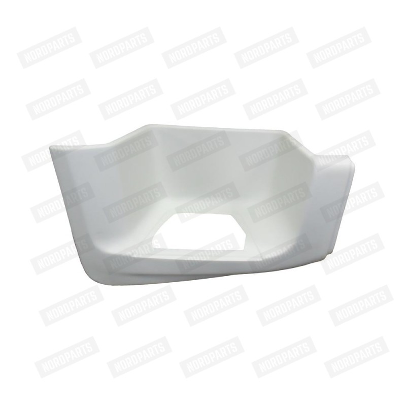 DAF XF95 Footboard lower/right