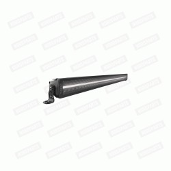 SIBERIA DR 42"