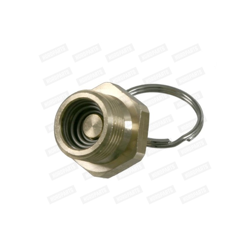 Pressure tank valve