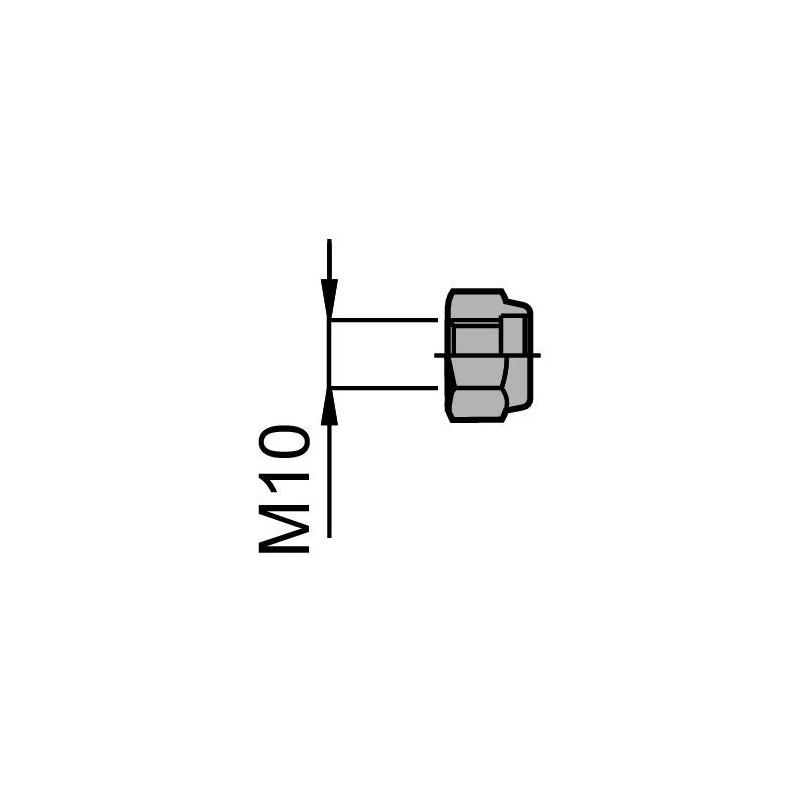 Fixing nut M10 / SS
