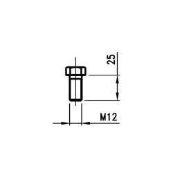 P/L bolt 12x25mm SS