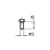 P/L bolt 12x25mm SS