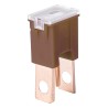 Protection JAPVAL PAL O 2pcs male 70A