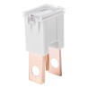 Protection JAPVAL PAL O 2pcs male 120A