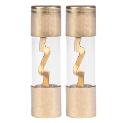 AGU fuse protection 2 pcs 10.3*38.1mm 40A