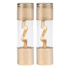 AGU fuse protection 2 pcs 10.3*38.1mm 40A