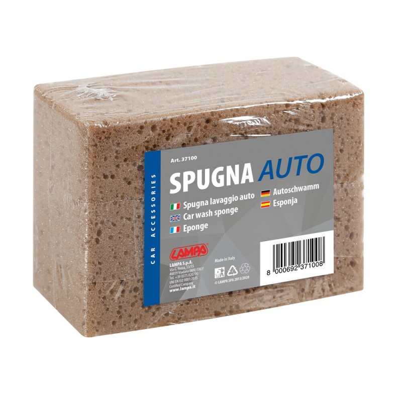 Pesusvamm väike