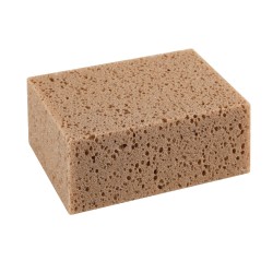 Pesusvamm väike