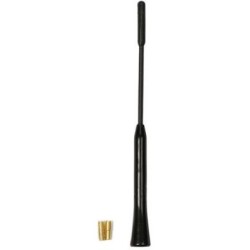 Katuseantenn võimendiga AM/FM,20cm,M5,M6