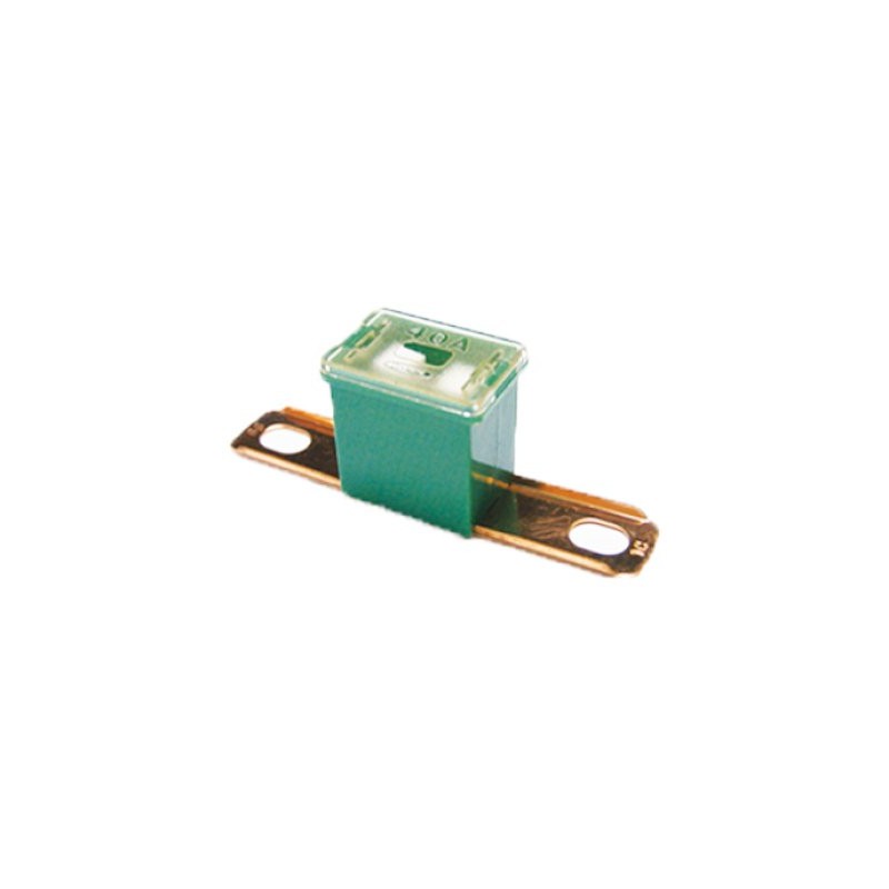 Protection Japanese car 40A