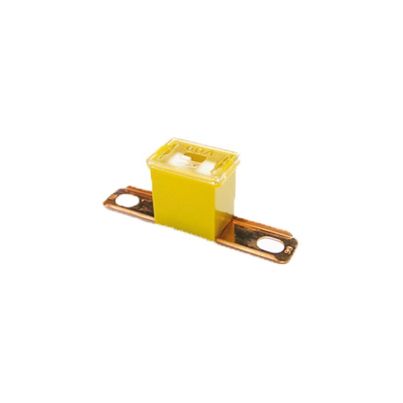 Protection Japanese car 60A