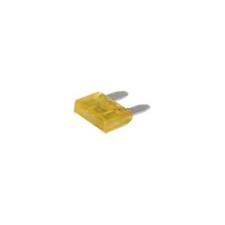 Fuse mini 20A (box of 50)