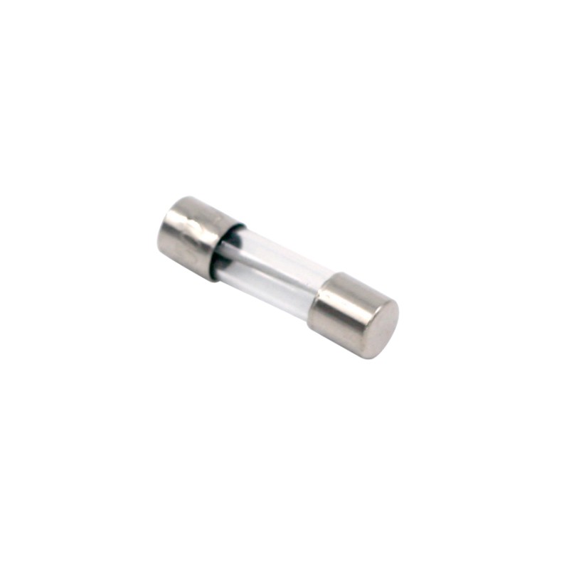 Glass protection 10A 5x20mm