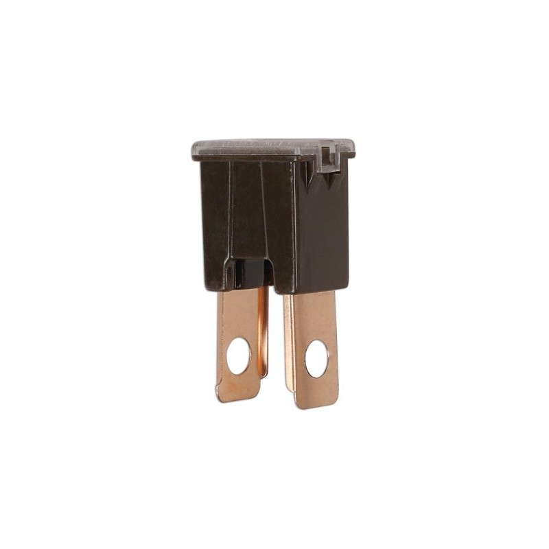 Kaitse jaapani isane 100A