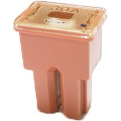 Protection Japanese female 30A