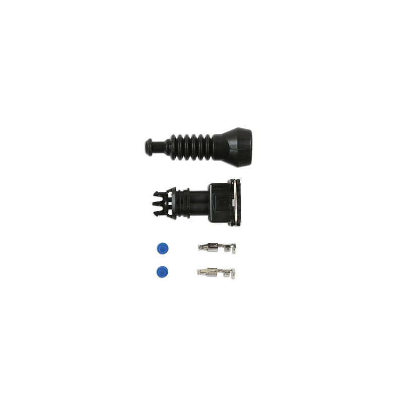 Plug set 2-pin EFI
