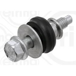 ELRING Kruvi, klapikaas 006.420