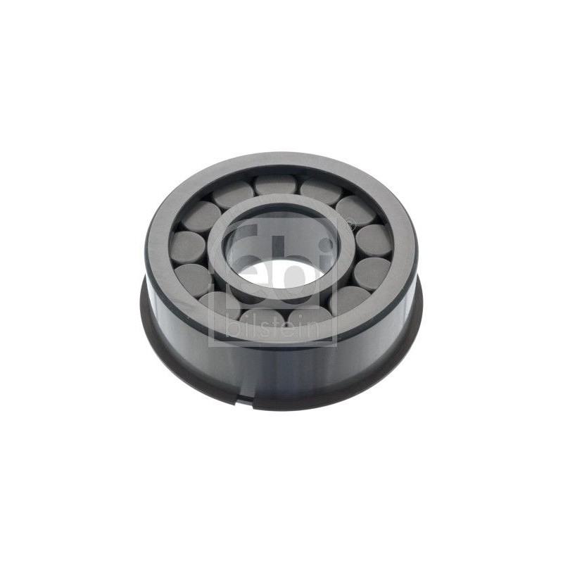 FEBI BILSTEIN Laager, diferentsiaal 100673