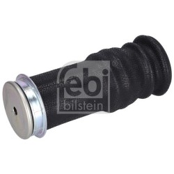 FEBI BILSTEIN Lõõts,kabiinikinnitus 102558