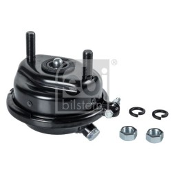 FEBI BILSTEIN Membraanpidurisilinder 108781