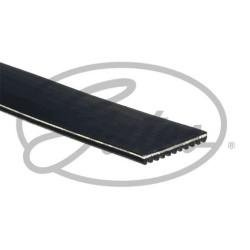 GATES Soonrihm 11PK1920HD