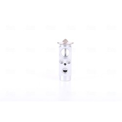 NISSENS Ekspansiooniklapp,kliimaseade 999323