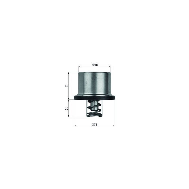 MAHLE Termostaat,Jahutusvedelik THD 1 65
