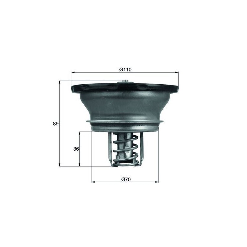 MAHLE Termostaat,Jahutusvedelik THD 3 76