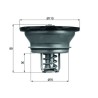 MAHLE Termostaat,Jahutusvedelik THD 3 82