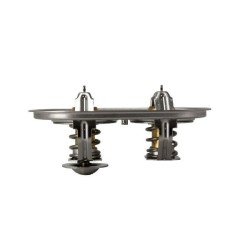 MAHLE Termostaat,Jahutusvedelik TX 105