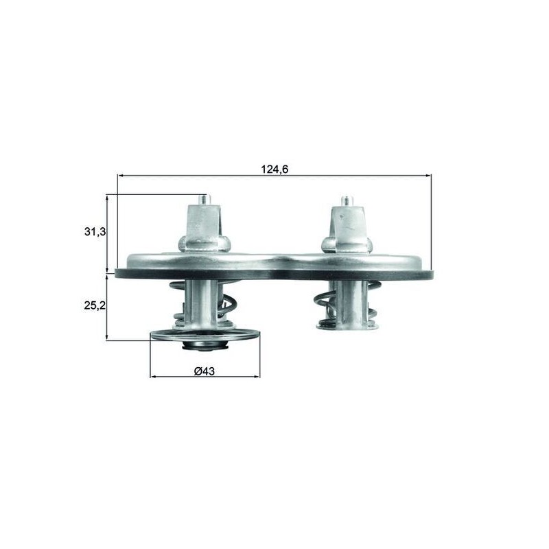 MAHLE Termostaat,Jahutusvedelik TX 141 83