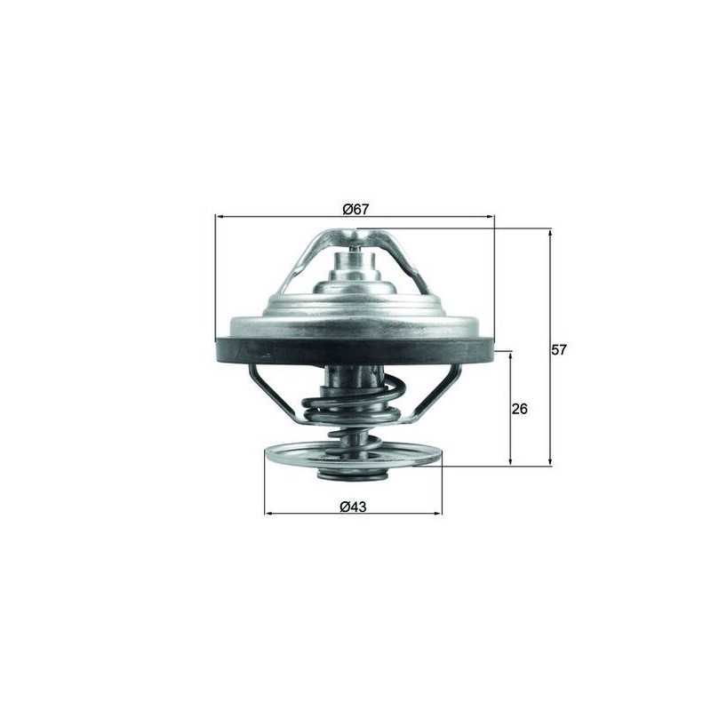 MAHLE Termostaat,Jahutusvedelik TX 158 79
