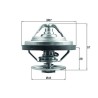 MAHLE Termostaat,Jahutusvedelik TX 158 83