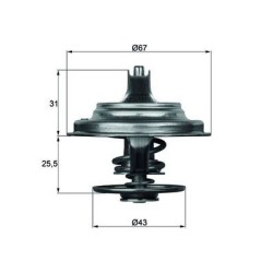 MAHLE Termostaat,Jahutusvedelik TX 23 79D