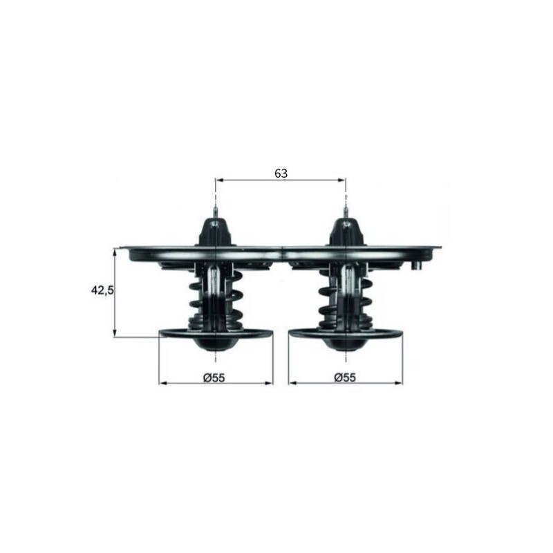 MAHLE Termostaat,Jahutusvedelik TX 32 85D