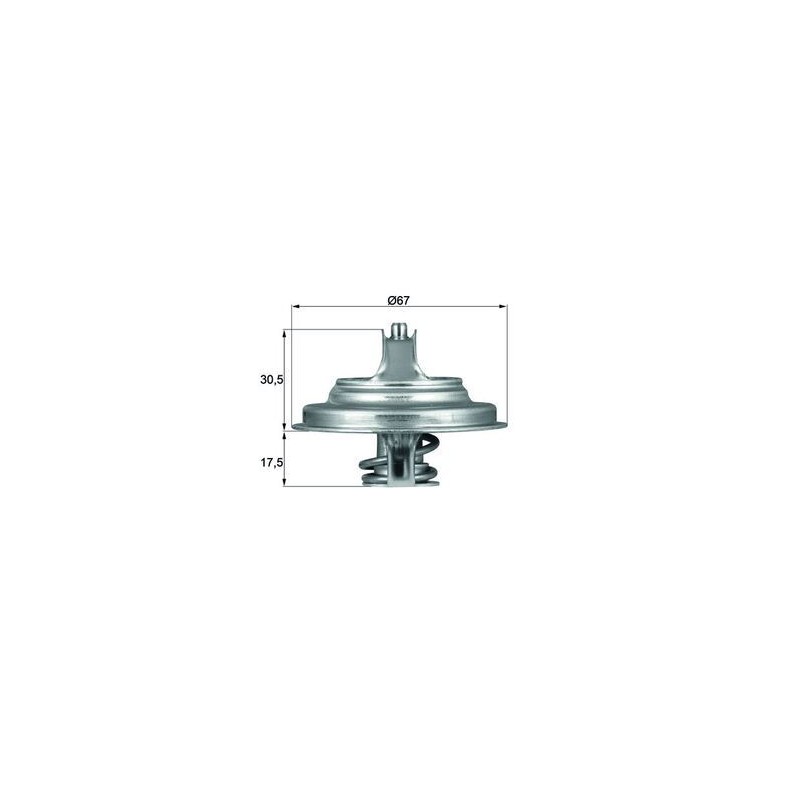MAHLE Termostaat,Jahutusvedelik TX 54 83D