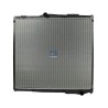 DT Spare Parts Radiaator,mootorijahutus 1.11457