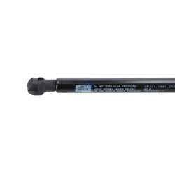 DT Spare Parts Gaasivedru,seadmeruumi luuk 1.23270