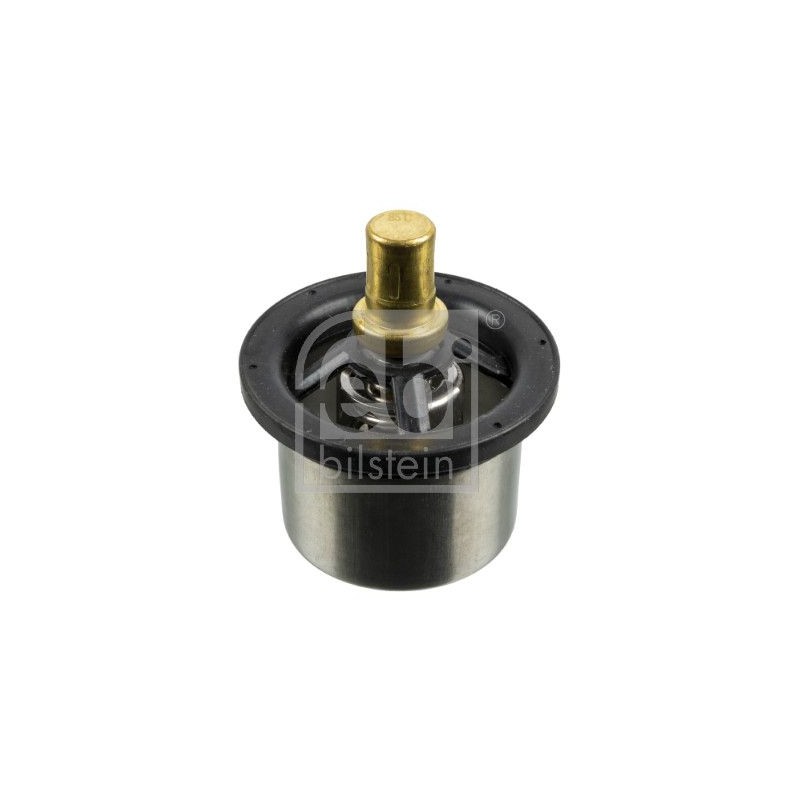 FEBI BILSTEIN Termostaat,Jahutusvedelik 173719