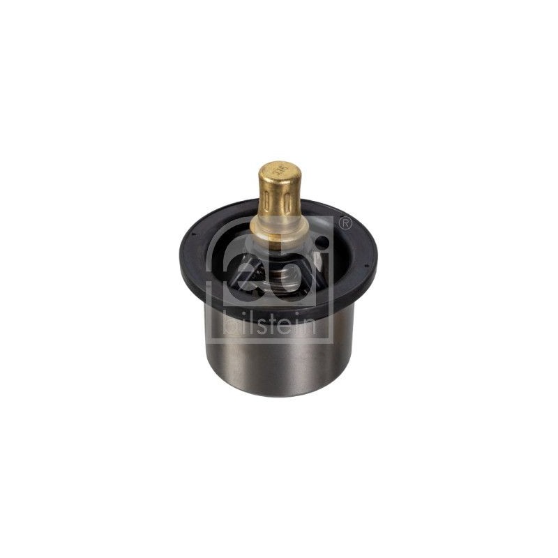 FEBI BILSTEIN Termostaat,Jahutusvedelik 176605