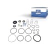 DT Spare Parts Remondikomplekt,piduriventiil-kasutuspidur 2.94514