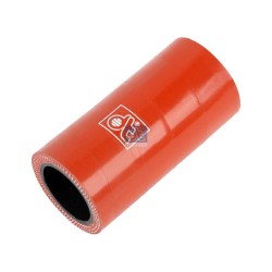 DT Spare Parts Laadimisõhu voolik 3.19051