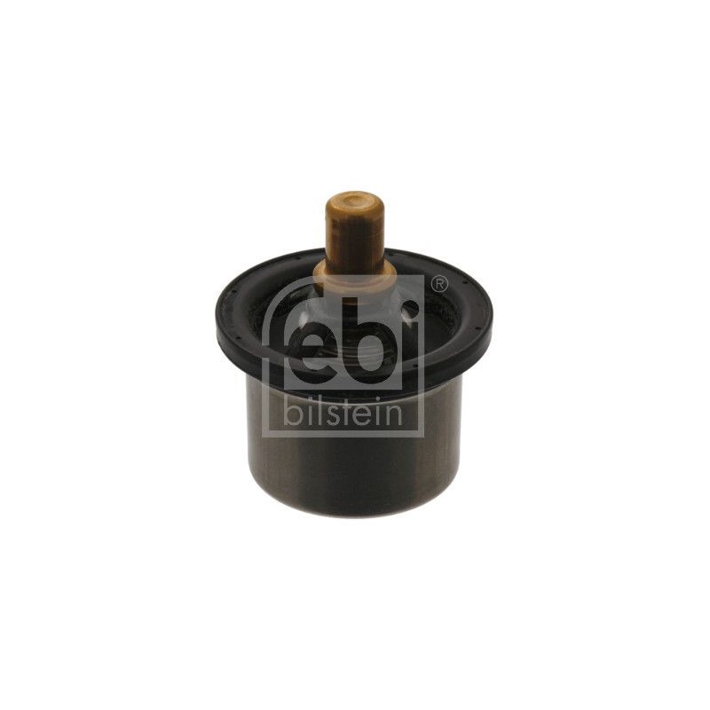 FEBI BILSTEIN Termostaat,Jahutusvedelik 40674