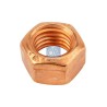 DT Spare Parts Mutter,sisselaskekollektor 4.40101