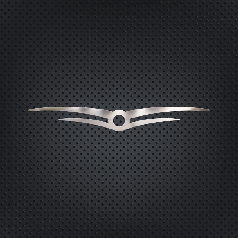 WINGED LOGO FRAME CHROME AXOR
