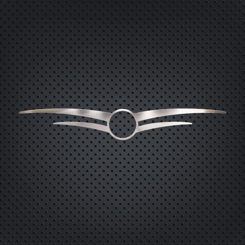 FRAME OF LOGO WINGED MODEL CHROME CARGO