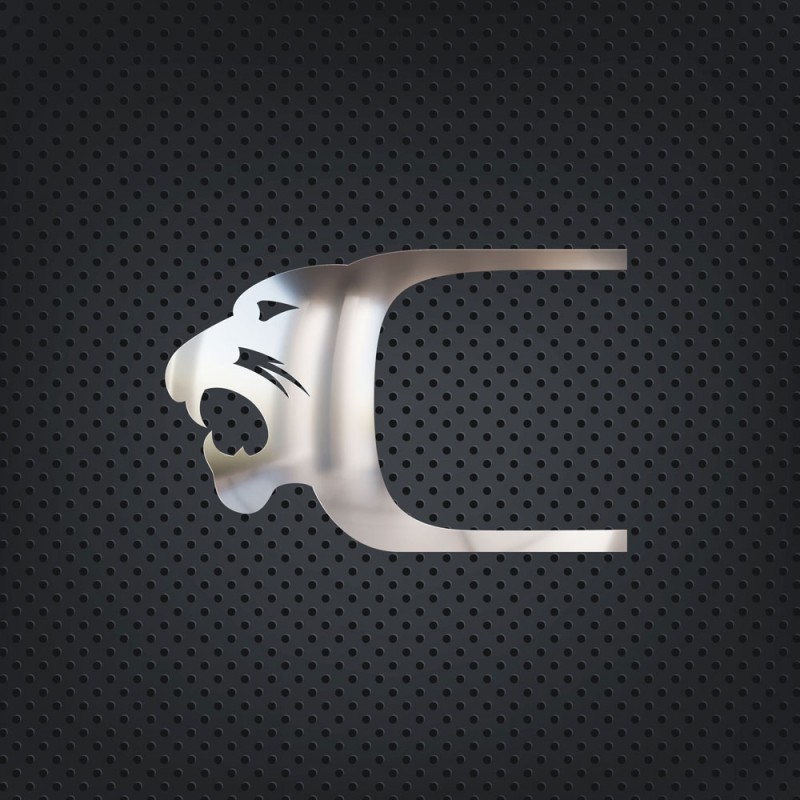 DOOR HANDLE FRAME CHROME TGA/TGX/TGS/TGL