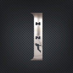 DOOR PILLAR CHROME TGS/TGX 2021+
