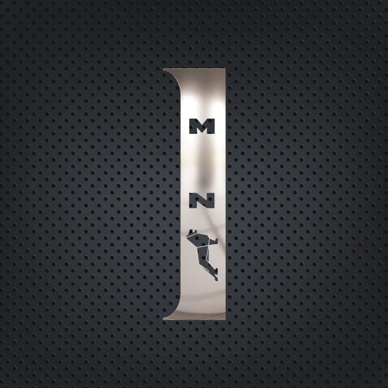 DOOR PILLAR CHROME TGS/TGX 2021+