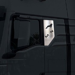 BED GLASS CHROME TGS/TGX 2021+